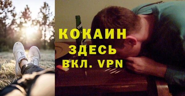 амф Алексин